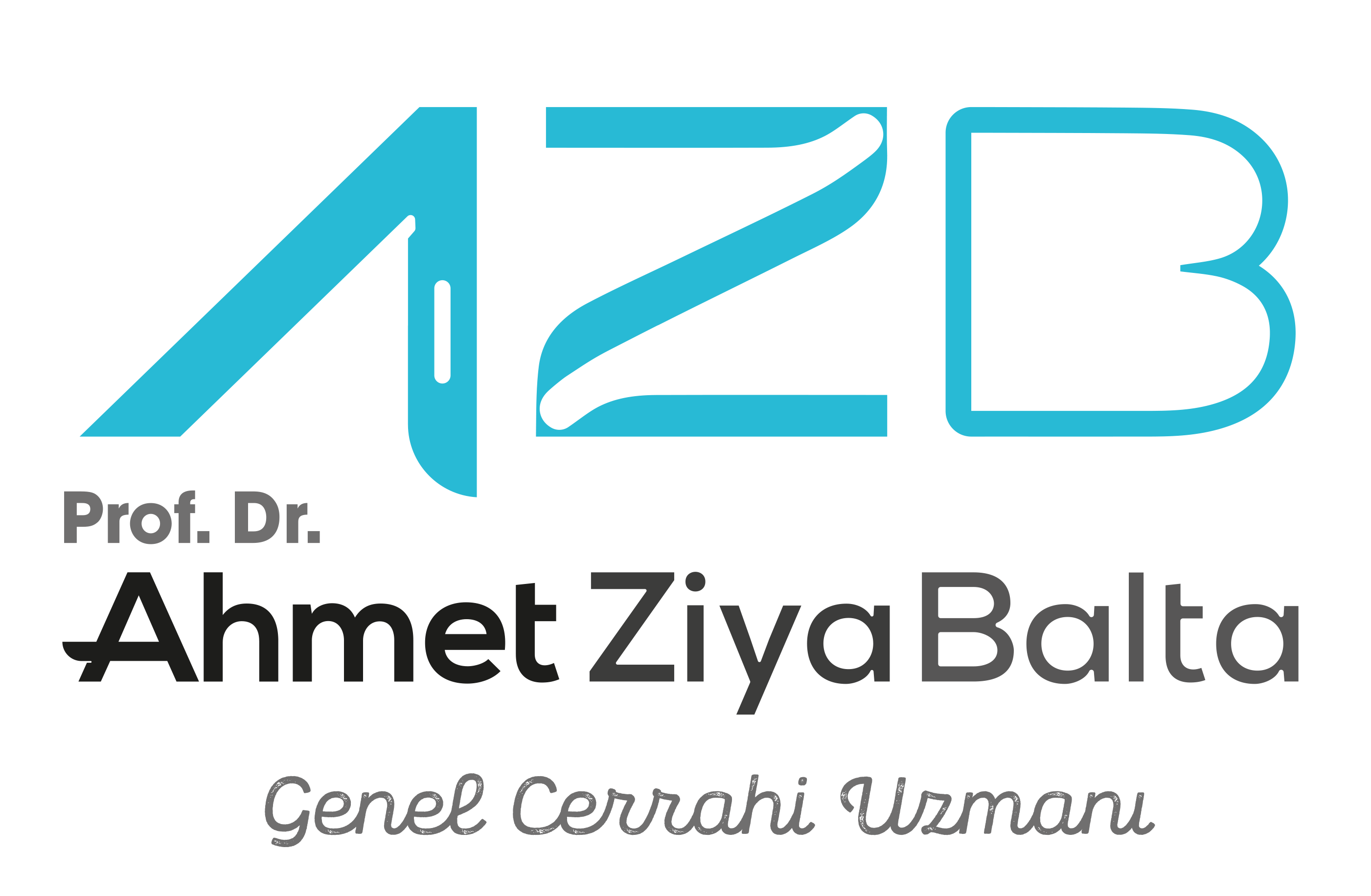 Prof. Dr. Ahmet Ziya Balta